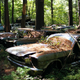 Illustration for article titled Massive Secret Mustang Junkyard Found In Rhode Island Forest